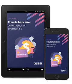 livre blanc fraude bancaire